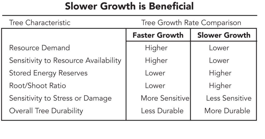 Slower growth is beneficial